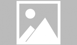 成人手机在线视频,潮流趋势与行业洞察