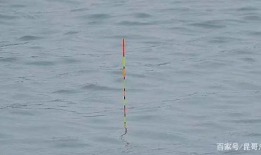 钓鱼调漂视频,视频教程深度解读